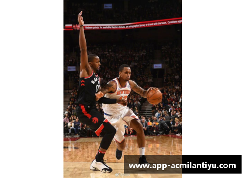 NBA精彩瞬间：探索篮球明星的非凡才华