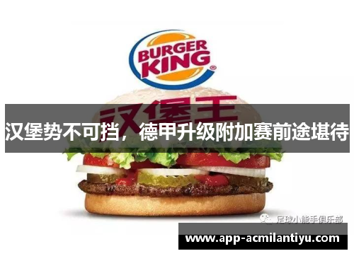 汉堡势不可挡，德甲升级附加赛前途堪待