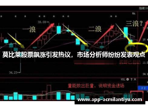 莫比莱股票飙涨引发热议，市场分析师纷纷发表观点